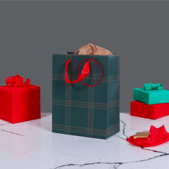 Sarkap Yeşil Ekose Desenli Hediyelik Karton Çanta 15x20x9 cm