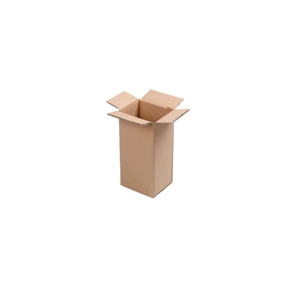 Sarkap 10'lu BC Çift Dalga Oluk Tekli 5 lt Zeytinyağı Teneke Kolisi 12,3x15,5x32cm