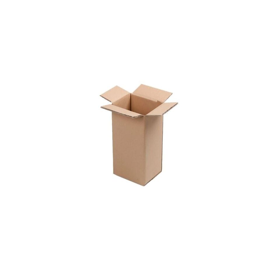 Sarkap 10'lu BC Çift Dalga Oluk Tekli 5 lt Zeytinyağı Teneke Kolisi 12,3x15,5x32cm