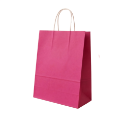 Sarkap Burgu Saplı Renkli Kraft Çanta 25x12x31 cm Pembe