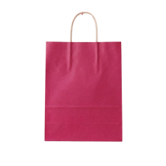 Sarkap Burgu Saplı Renkli Kraft Çanta 25x12x31 cm Pembe